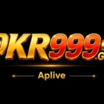 pkr999 game image