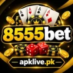 8555bet logo image