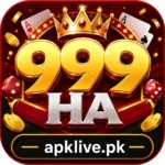999ha-game-logo