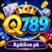 Q789 Game log image