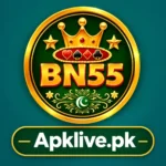 bn55 Game logo
