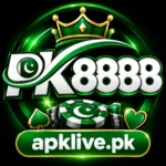 pk8888 game logo