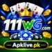 111wg game feature image logo
