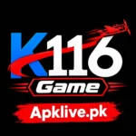 k116 game feature image download